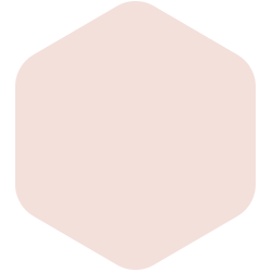 Limoge Pink PPG1190-1