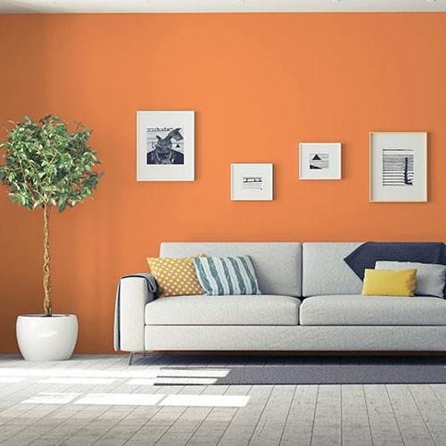 Orange Poppy PPG1196-7