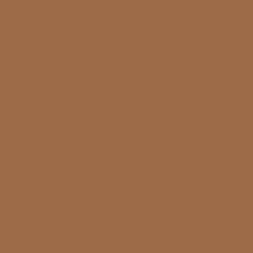 Foxfire Brown PPG1069-6