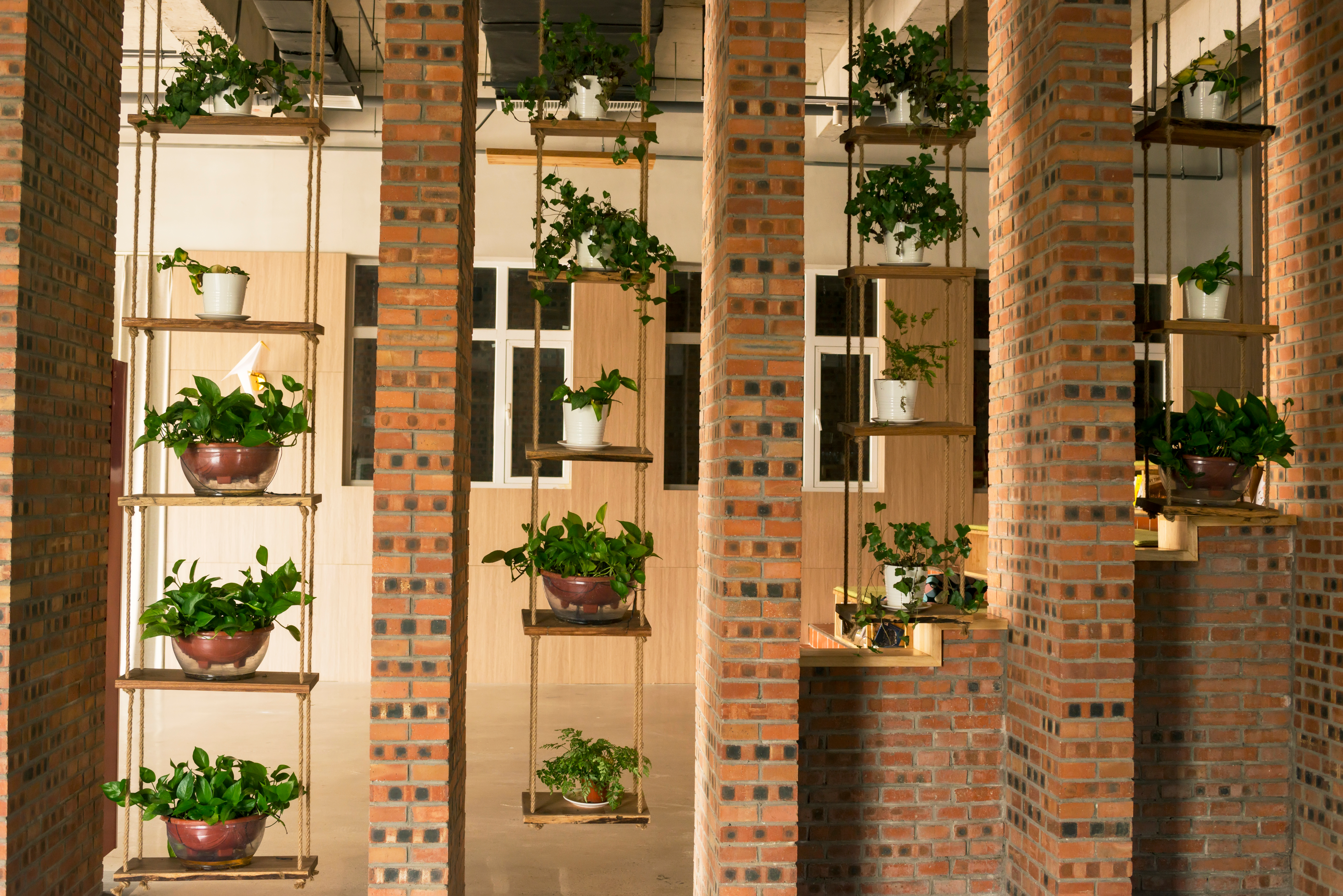 greenery in tamil nadu homes