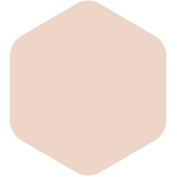 Blush Beige PPG1070-2