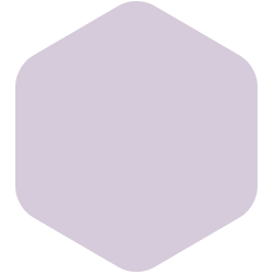 Dusky Lilac  PPG1176-3