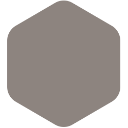 Elephant Gray  PPG1005-5