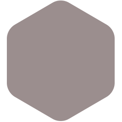 Gray Violet PPG1014-5