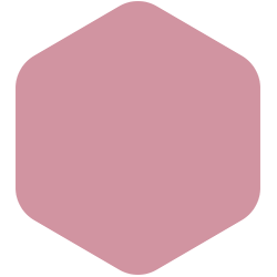 Madagascar Pink PPG1050-4