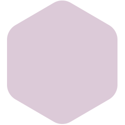 Pale Mauve PPG1178-3