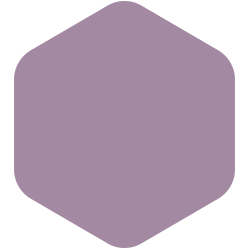 Pale Plum  PPG1177-5