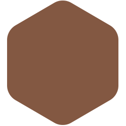 Tampico Brown  PPG16-23